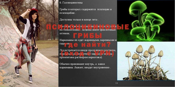 таблы Арсеньев